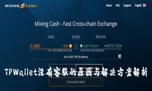 TPWallet没有客服的原因与解决方案解析