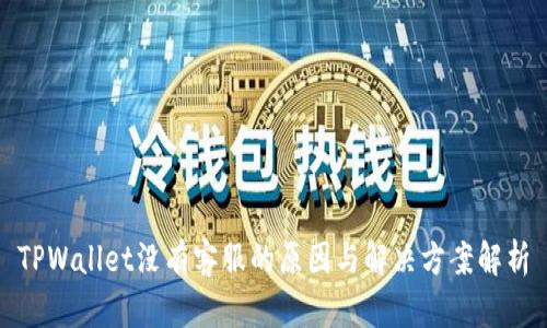 TPWallet没有客服的原因与解决方案解析