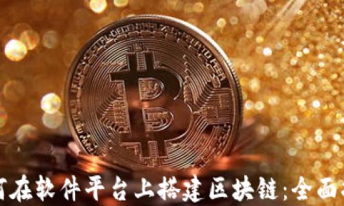 
如何在软件平台上搭建区块链：全面指南