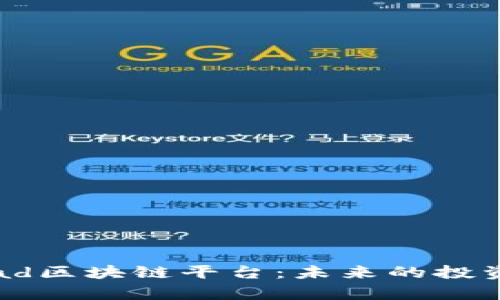 深入解析ethpad区块链平台：未来的投资与融资新机遇