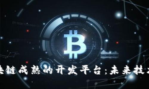 探索区块链成熟的开发平台：未来技术的基石