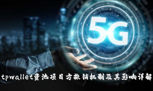 tpwallet资池项目方撤销机制及其影响详解