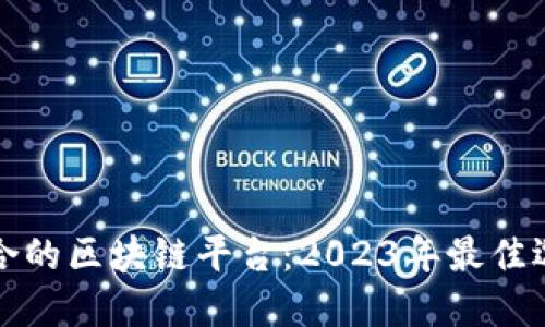 选择适合的区块链平台：2023年最佳选择指南