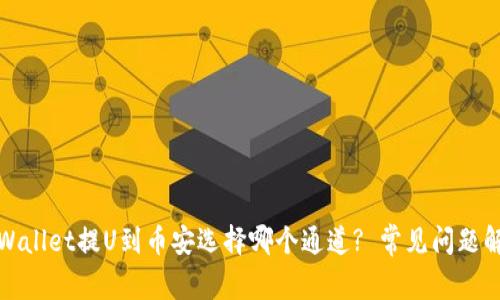 TPWallet提U到币安选择哪个通道? 常见问题解答