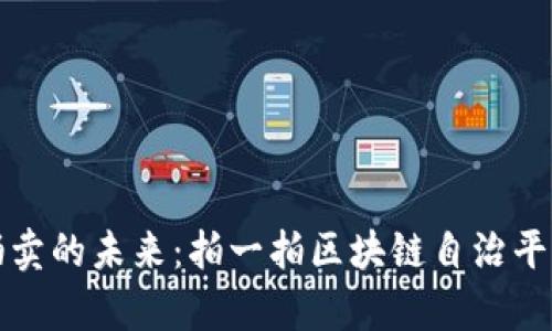 探索轻奢品拍卖的未来：拍一拍区块链自治平台的全面解析