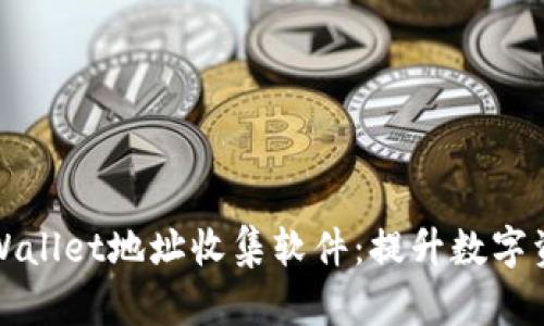 如何使用TPWallet地址收集软件：提升数字资产管理效率
