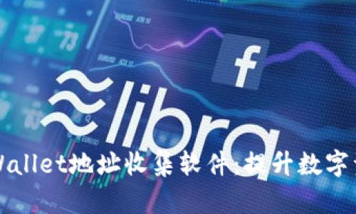 如何使用TPWallet地址收集软件：提升数字资产管理效率