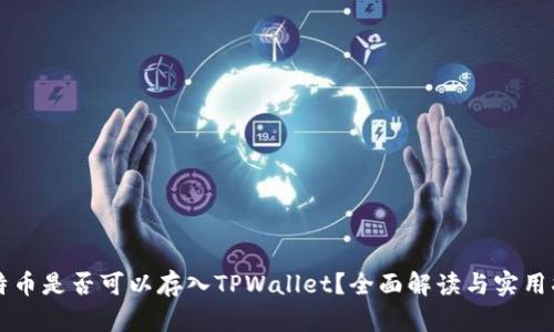 莱特币是否可以存入TPWallet？全面解读与实用指南