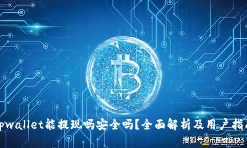 tpwallet能提现吗安全吗？全面解析及用户指南