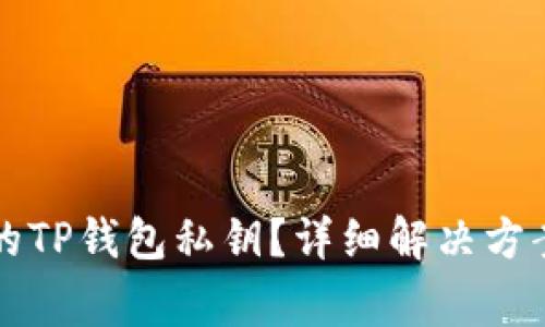 如何找回被删除的TP钱包私钥？详细解决方案与常见问题解析