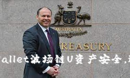 如何保护您的TPWallet波场链U资产安全，避免被转走的风险