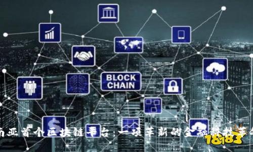 南亚首个区块链平台：一项革新的金融科技革命