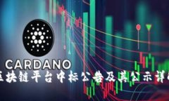 区块链平台中标公告及其公示详解