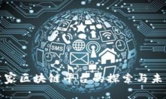 全球首家区块链平台的探索与未来发展