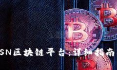 如何安全登录BSN区块链平台：详细指南及常见问