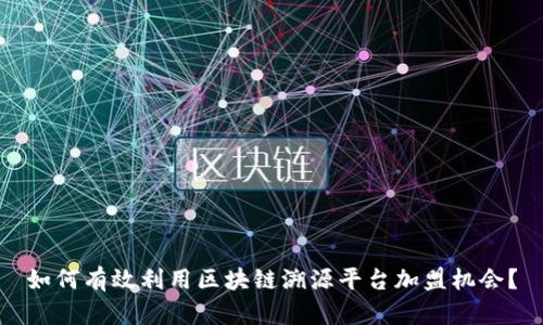 如何有效利用区块链溯源平台加盟机会？