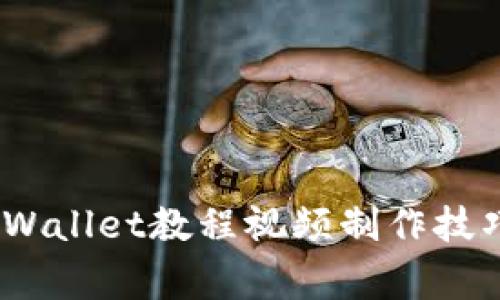 全面解析：TPWallet教程视频制作技巧与注意事项