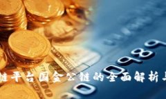 国家区块链平台国金公链的全面解析与前景展望