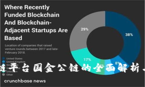 国家区块链平台国金公链的全面解析与前景展望