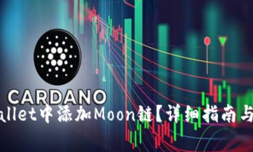 : 如何在TPWallet中添加Moon链？详细指南与常见问题解答