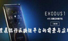 星展银行区块链平台的前景与应用